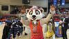 Netball World Cup 2023 unveils its mascot “Letsatsi” at Netball World Cup 2023 Qualifiers – Africa