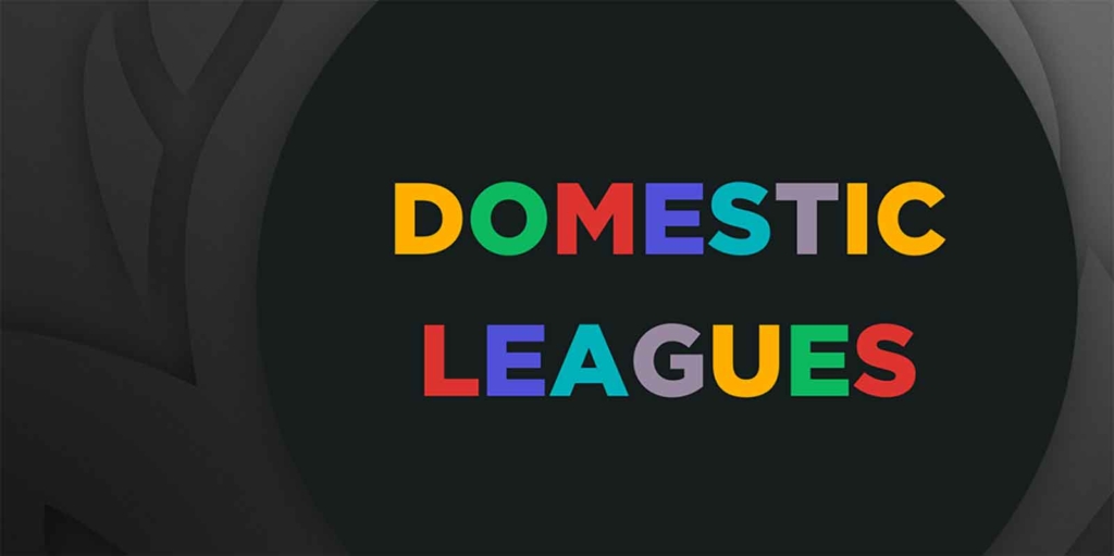 Domestic Leagues wording on a black background